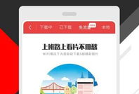 超级碰碰视频,刺激碰撞，欢乐无限