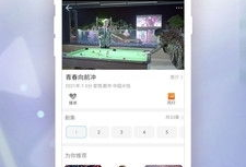 视频社区,内容盛宴与互动新天地