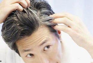 吃瓜爆料做头发技术好,吃瓜爆料，揭秘做头发技术高手背后的秘密