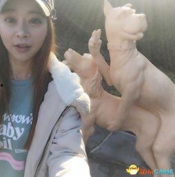 成人老司机性爱直播,隐私与伦理的边界探索