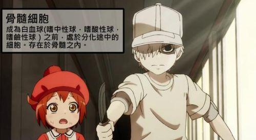 工作细胞动漫,揭秘工作细胞的奇幻旅程