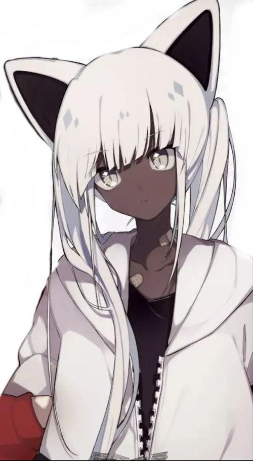 黑皮动漫,青春热血，梦想启航的动漫世界