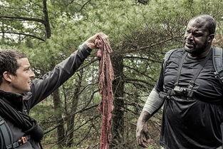 荒野求生视频,挑战极限，探索生存智慧